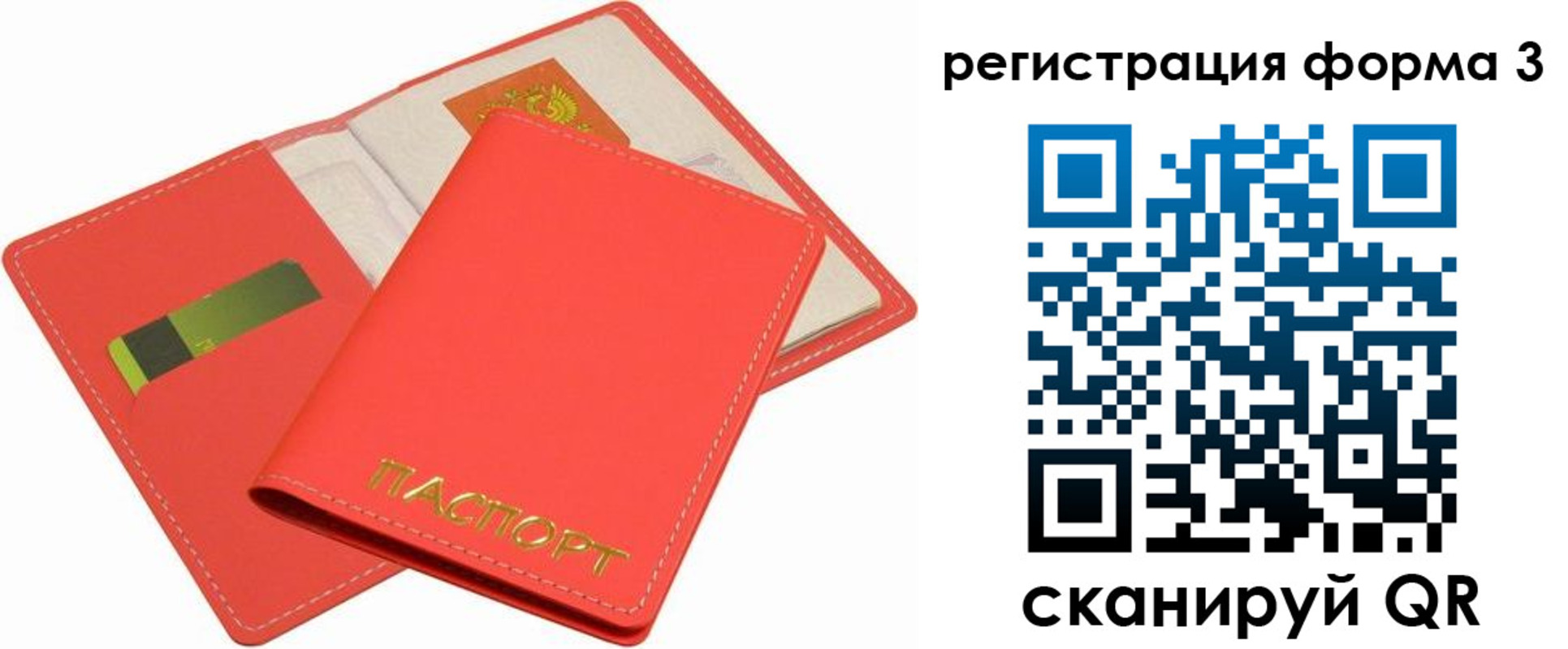 прописка для школы в Чкаловске